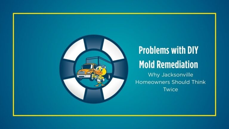 Problems with DIY Mold Remediation | Why Jacksonville Homeowners Should Think Twice