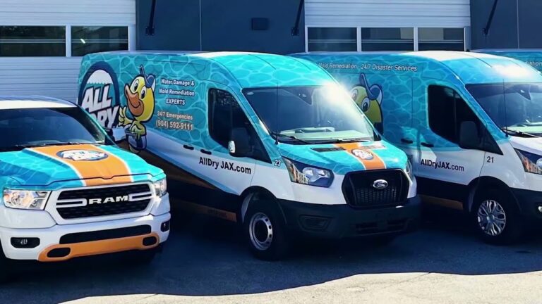 What Sets All Dry Services of Jacksonville Apart | Trusted Water & Mold Experts