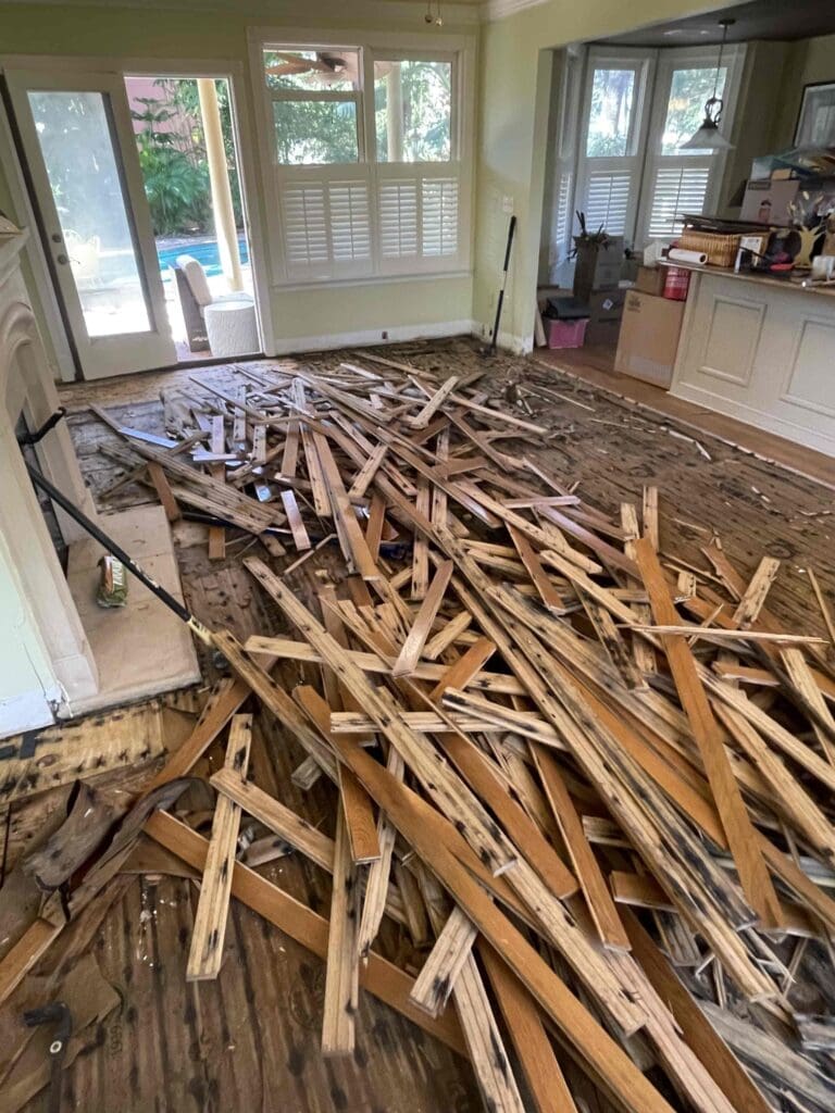 All Dry Jacksonville: More Than Just Restoration—A Trusted Partner in Northeast Florida