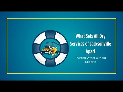 What Sets All Dry Services of Jacksonville Apart | Trusted Water & Mold Experts