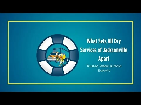 What Sets All Dry Services of Jacksonville Apart | Trusted Water & Mold Experts