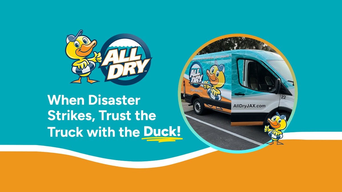 All Dry Services of SE Jacksonville - Water Restoration in Jacksonville