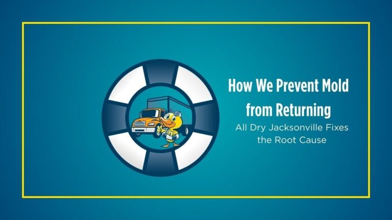 How We Prevent Mold from Returning | All Dry Jacksonville Fixes the Root Cause