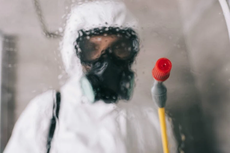 Odor Removal that Actually Works: Why Cover-Ups Just Don’t Cut It