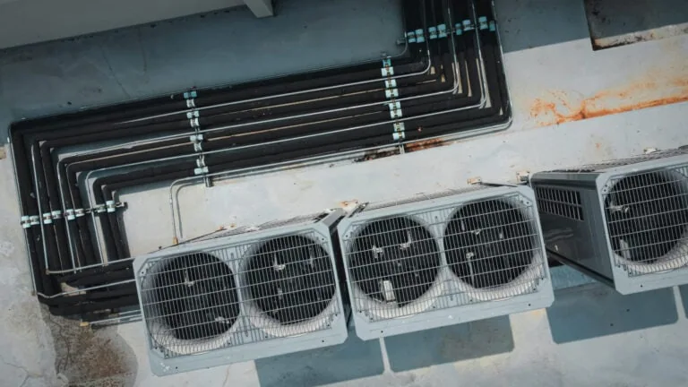 The Mold You Can’t See: How HVAC and Air Leaks Create a Silent Health Hazard
