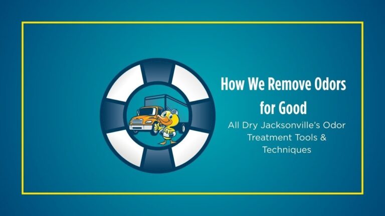 How We Remove Odors for Good | All Dry Jacksonville’s Odor Treatment Tools & Techniques
