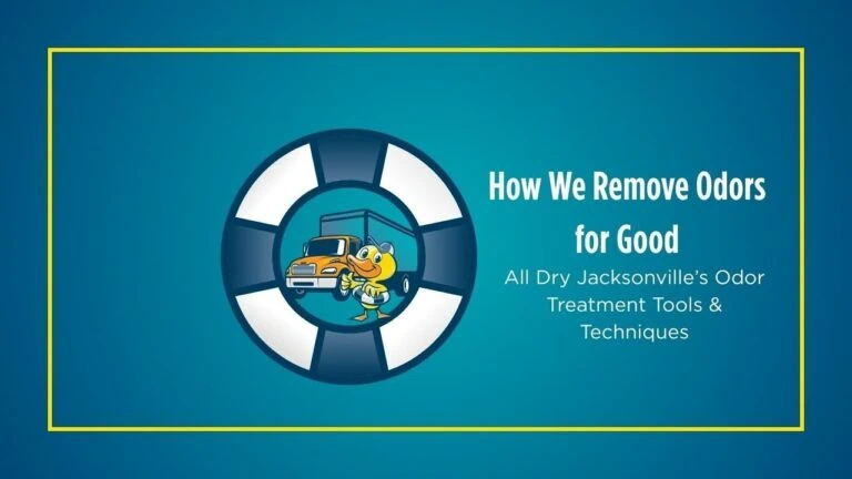 How We Remove Odors for Good | All Dry Jacksonville’s Odor Treatment Tools & Techniques
