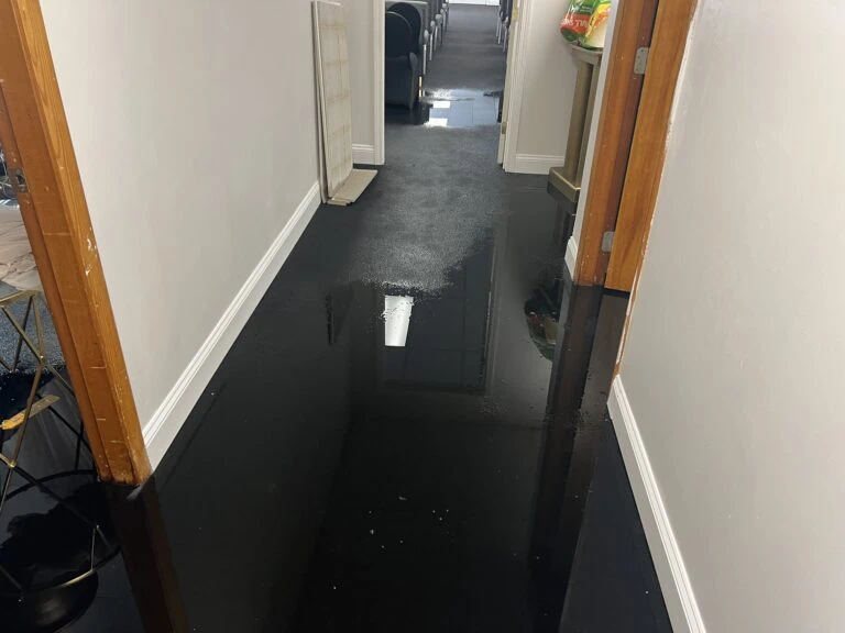 Looking for Water Damage Restoration Experts? Here’s What You Need to Know