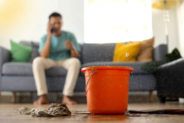 Water Damage Mitigation vs. Restoration: What Homeowners Need to Know