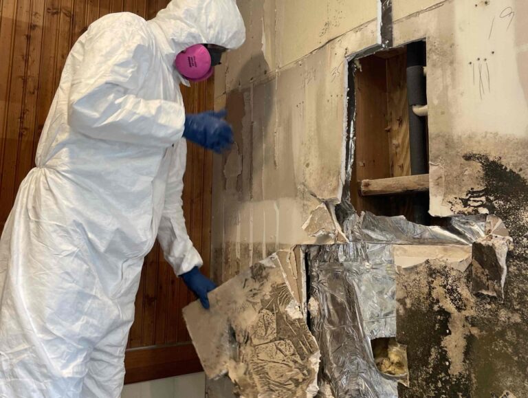 Why Every Floridian Should Be Concerned About Mold