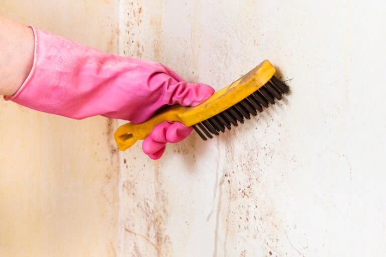 cleaning of room wall from mold with metal brush