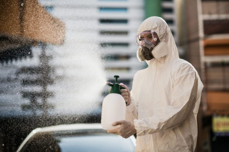 Mold Cleaning vs. Mold Remediation: What Jacksonville Homeowners Need to Know