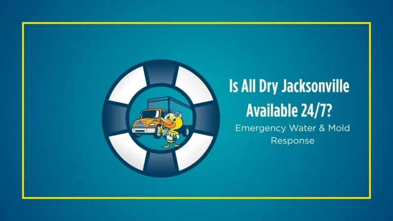 Is All Dry Jacksonville Available 24/7? | Emergency Water & Mold Response