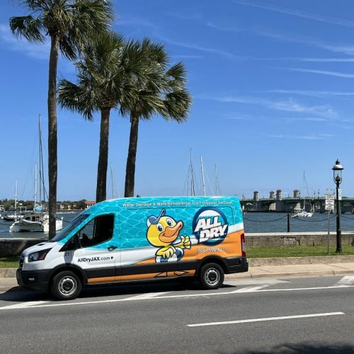 All Dry Services Jacksonville service van showing the logo and contact info parked on the side of the road in front of a bridge and St. Johns River