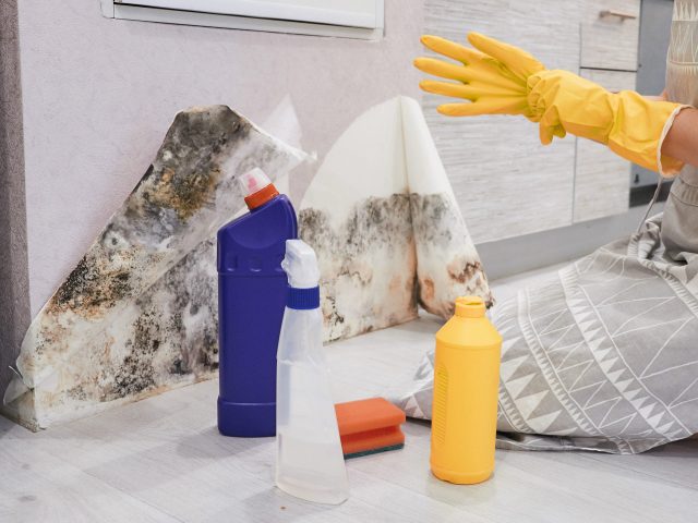 Is It a Cold or Is It Mold - Spotting the Hidden Signs in Your Home