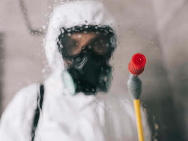 Odor Removal that Actually Works- Why Cover-Ups Just Don’t Cut It