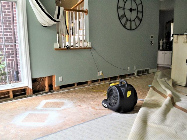 water-leak-home-property-damage-repair-2025-01-08-05-00-05-utc-w1080-h1920