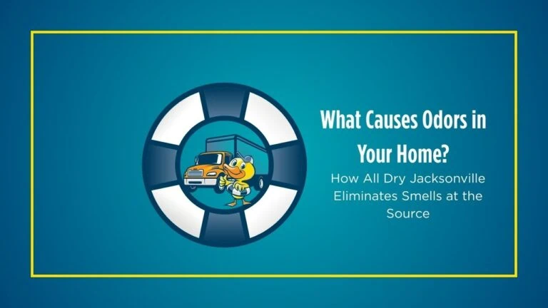 What Causes Odors in Your Home? | How All Dry Jacksonville Eliminates Smells at the Source