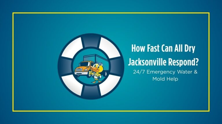 How Fast Can All Dry Jacksonville Respond? | 24/7 Emergency Water & Mold Help