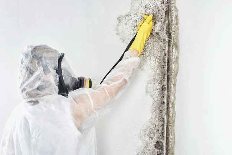 Mold Remediation 101: What Every Homeowner Needs to Know