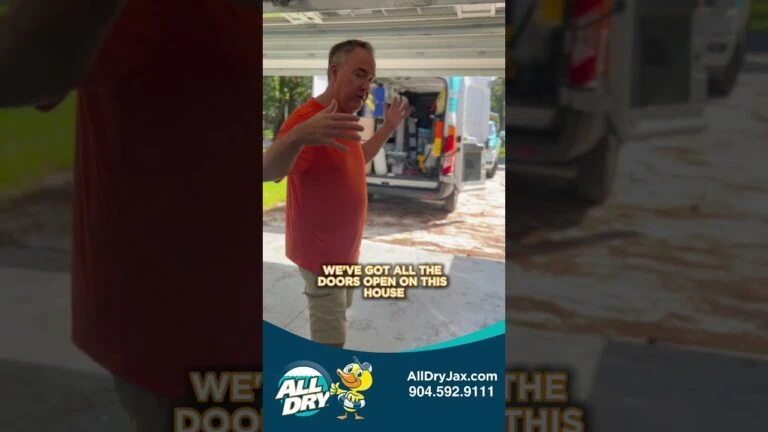 All Dry Services- Tip of the Day | Mold