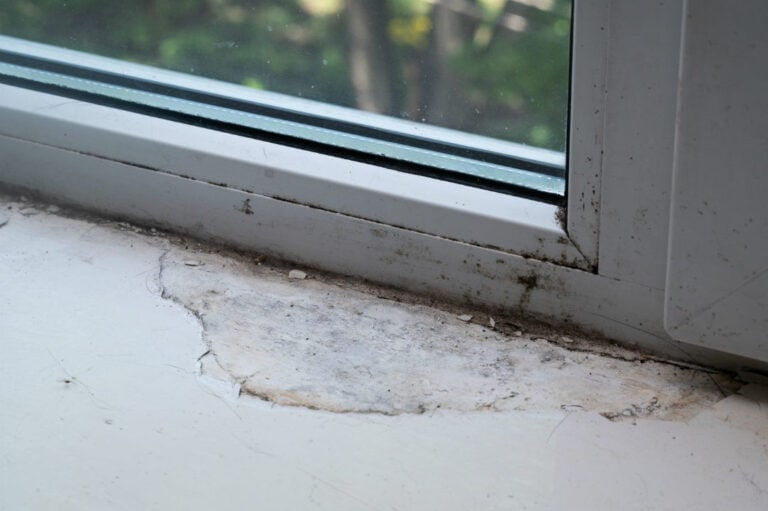 a window sill is moldy and water damaged