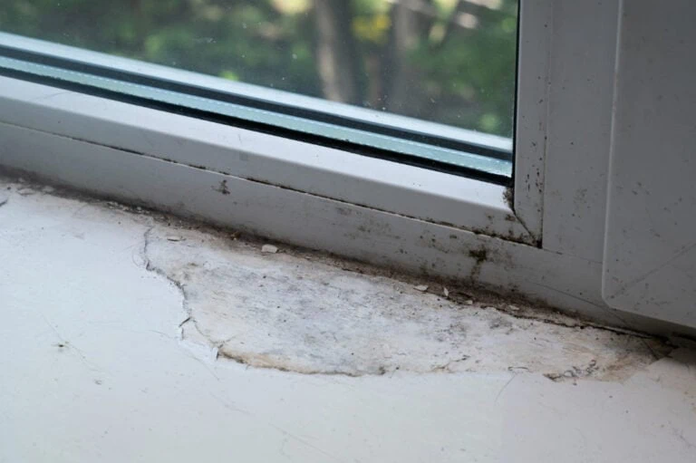 Signs You Have Hidden Water Damage (And What to Do About It)